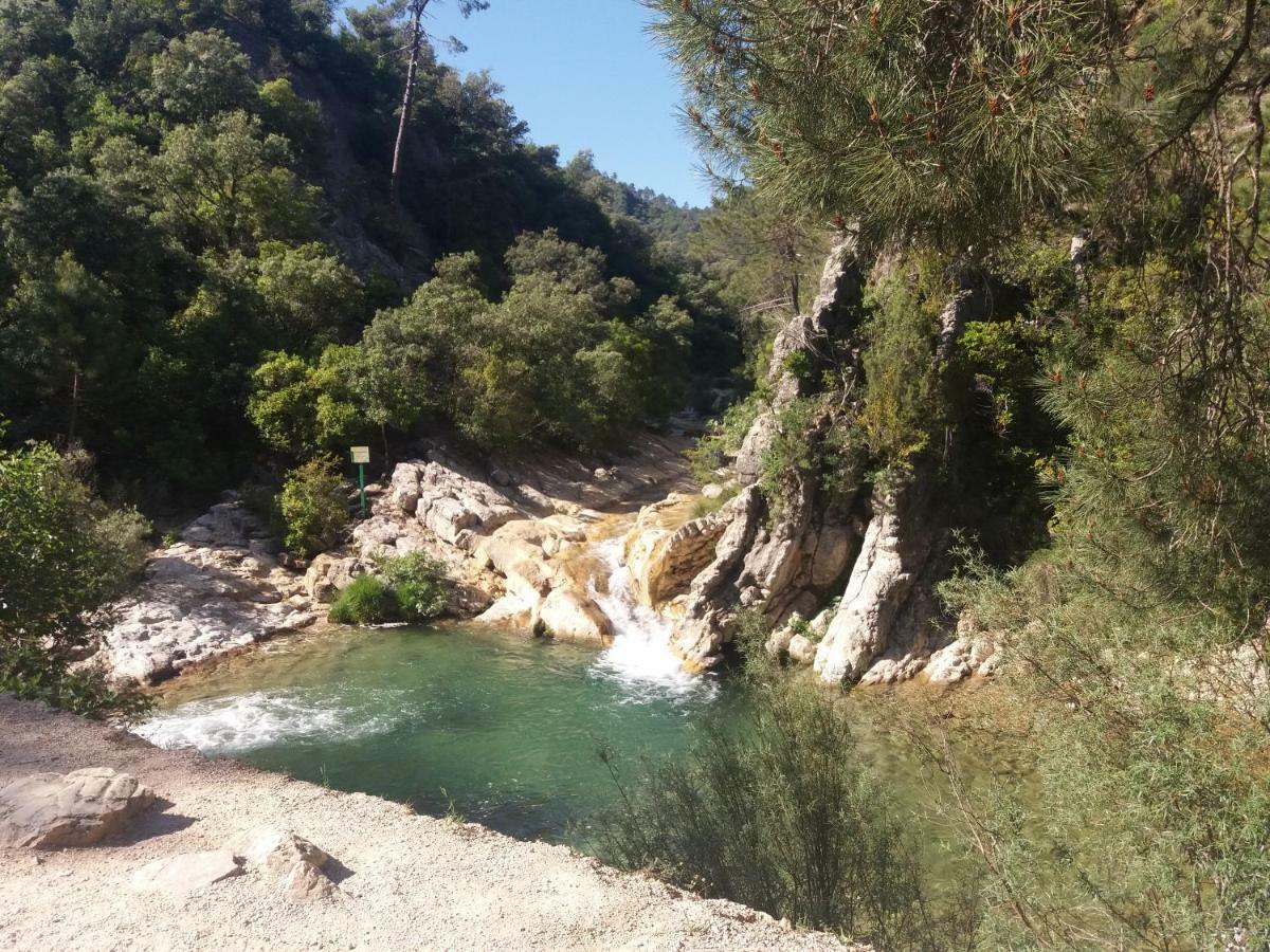 Alojamiento Aguasblanquillas Coto Rios Kültér fotó