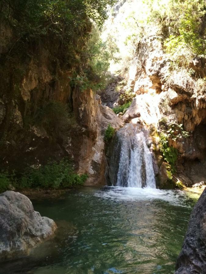 Alojamiento Aguasblanquillas Coto Rios Kültér fotó